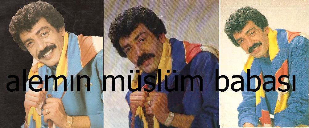 .JPG