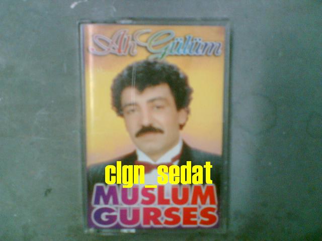 ah gülümm 1.JPG