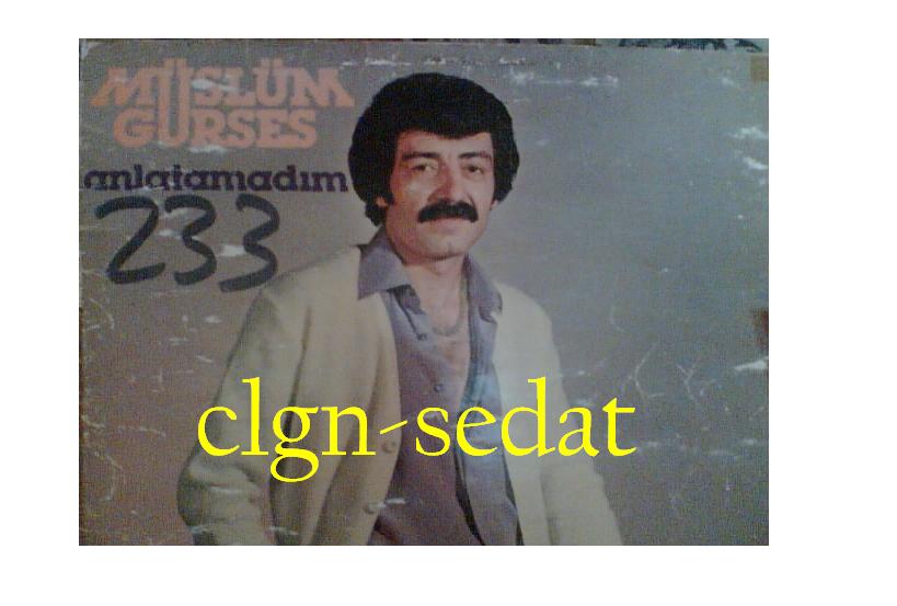 anlatamad�m(long play) resim.JPG