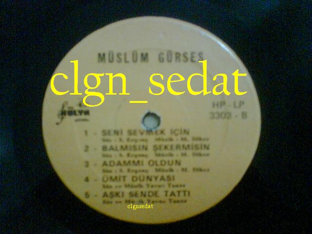 hülya plak işte arabesk(resim).JPG